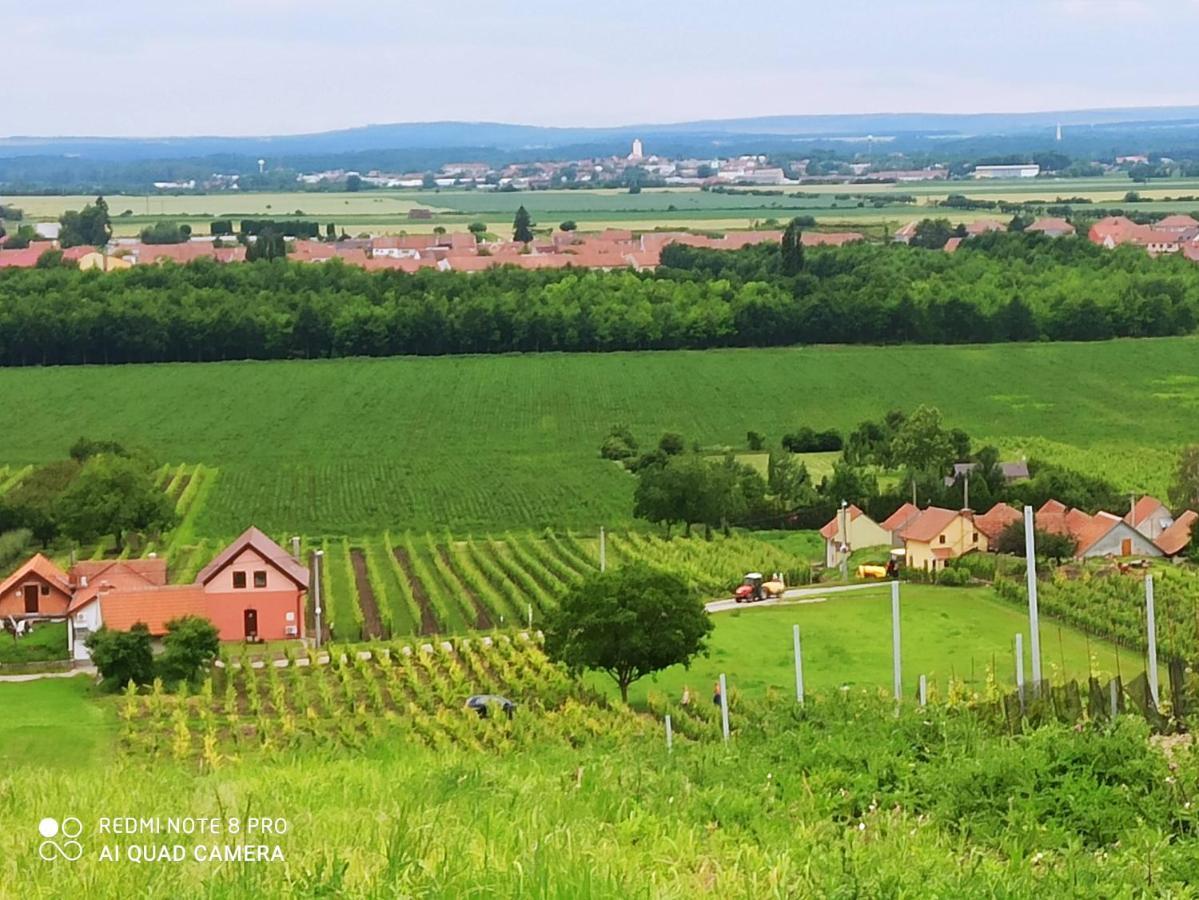 Velké Bílovice Sklipek U Svobodu旅馆 外观 照片