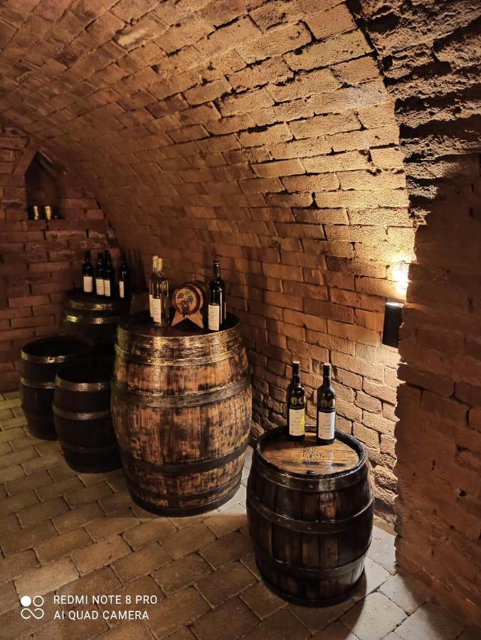 Velké Bílovice Sklipek U Svobodu旅馆 外观 照片